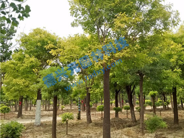 �c���鿴Ԕ��(x��)��Ϣ��(bi��o)�}�����~�� ��x�Δ�(sh��)��2341